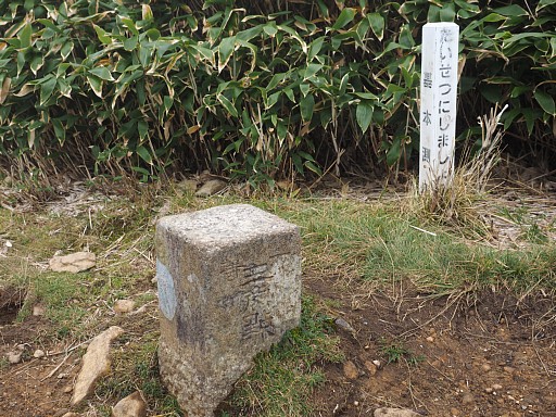 苗場山一等三角点
