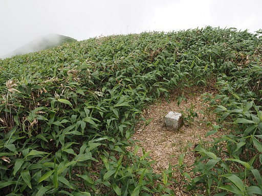 一ノ倉岳山頂