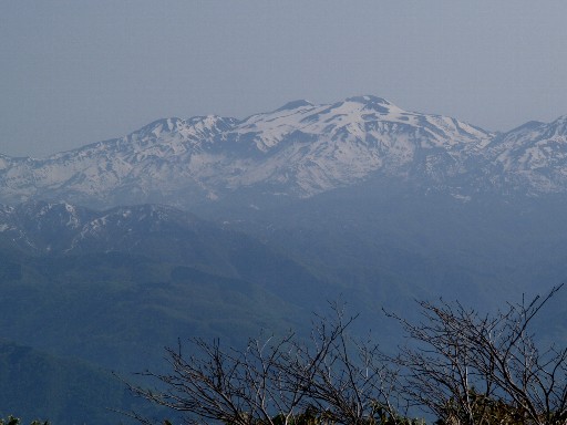 荒島岳より白山