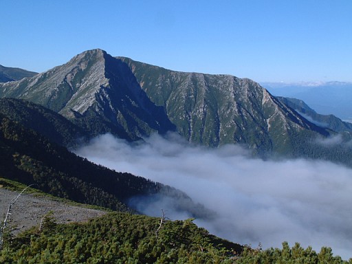 蝶ヶ岳下より常念岳