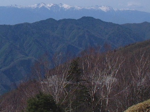 しらびそ峠より鬼面山