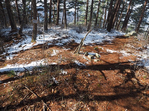 井上山山頂