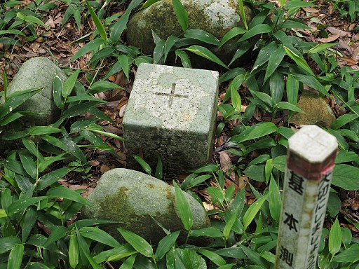 高天神山一等三角点