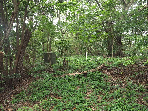 楞巌寺山山頂