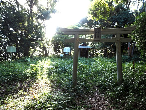 高根山山頂