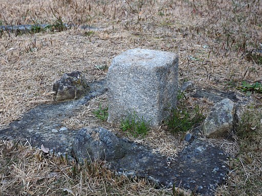 上野巳新田一等三角点