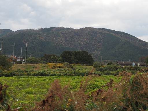 太山寺野から阿弥陀山