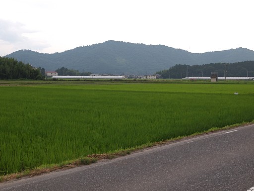 上羽田より雪野山