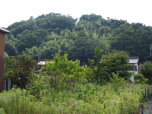 県道207号より雨壺山