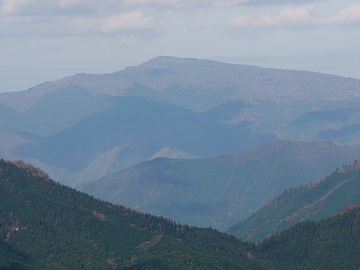 後山稜線より氷ノ山