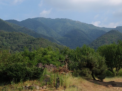 桐野より東床ノ尾山