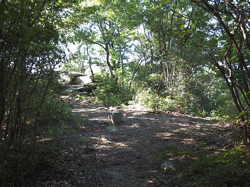 千条寺山山頂