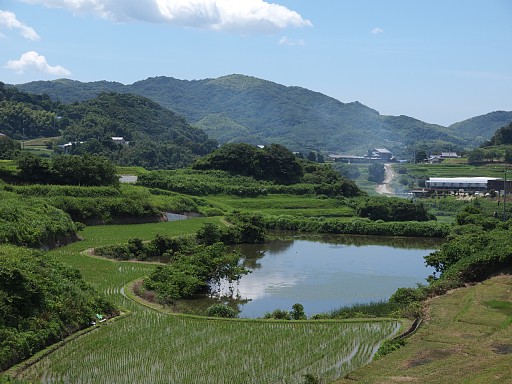 草香北より竜宝寺山