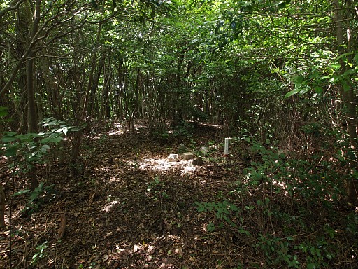 竜宝寺山山頂