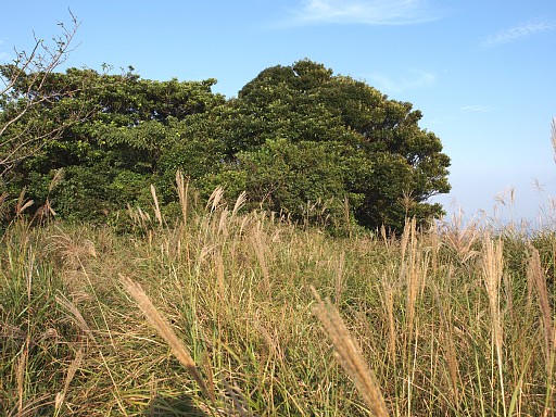 西山山頂