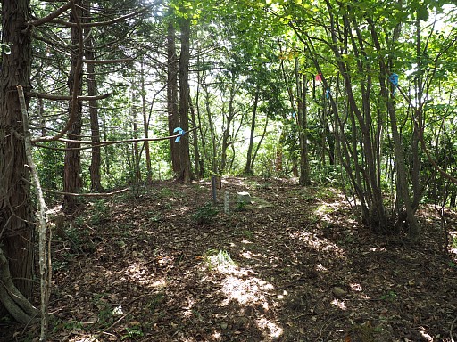 高聾山山頂