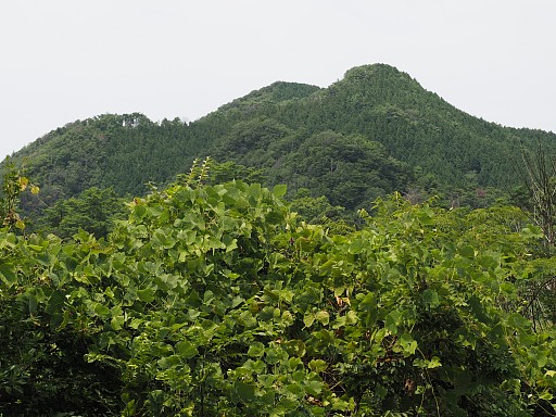 高聾山