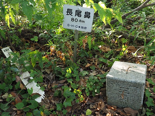 長尾鼻一等三角点