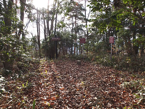 天神山山頂