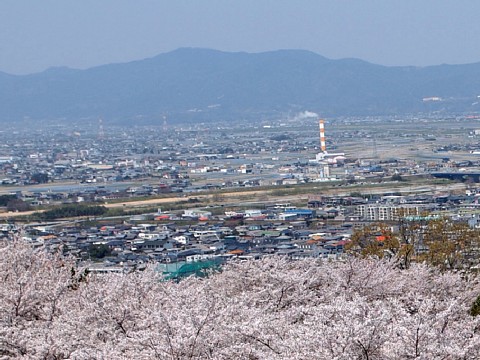 西部公園より大山