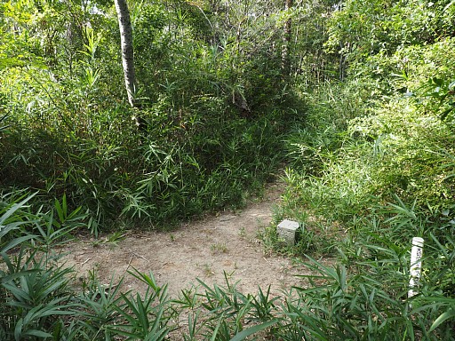 屋島南嶺山頂