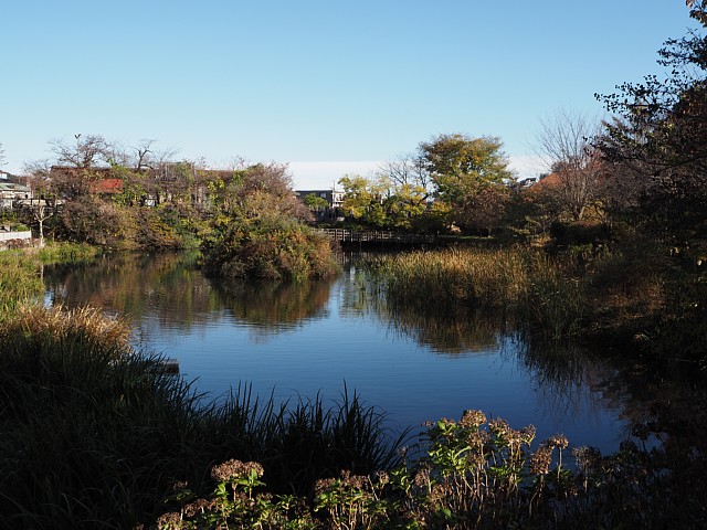 今泉名水桜公園