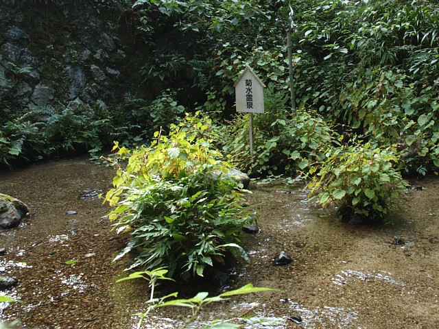 菊水泉
