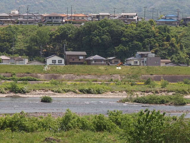 口田