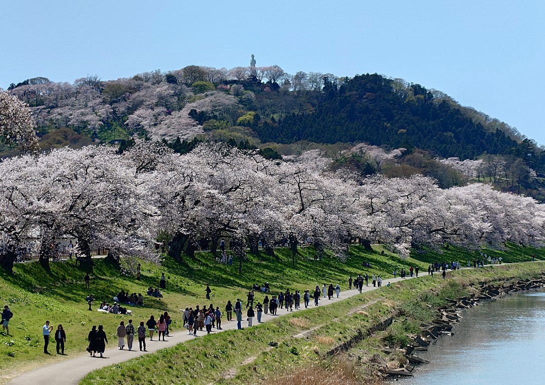 白石川堤と船岡城址