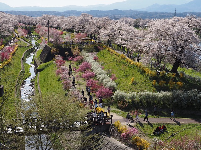 白石川千桜公園