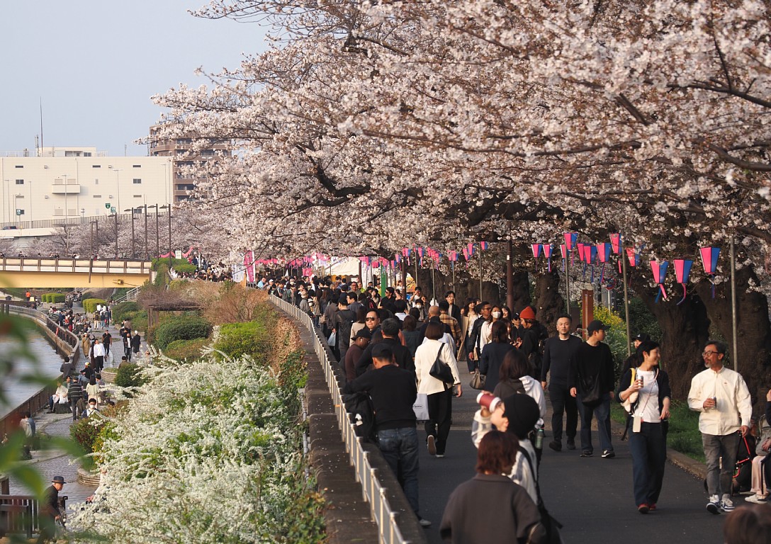 隅田公園