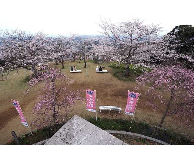 広場