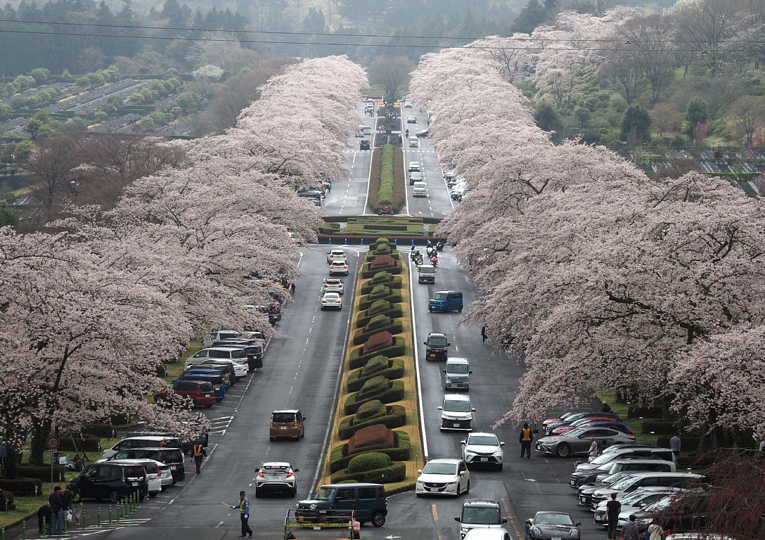 富士霊園