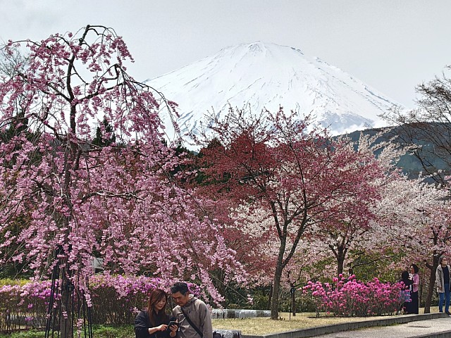富士山