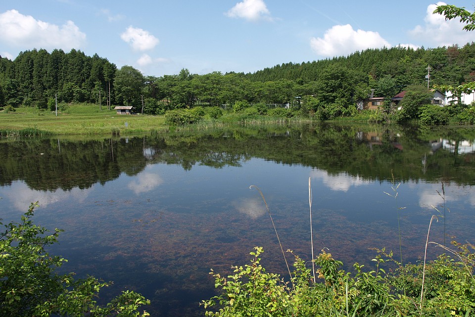 溜池