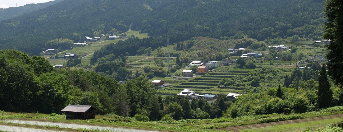 野井の棚田