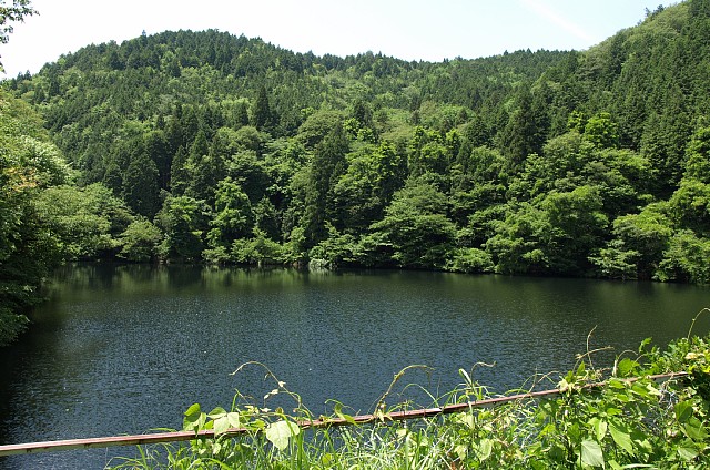 小ヶ沢池