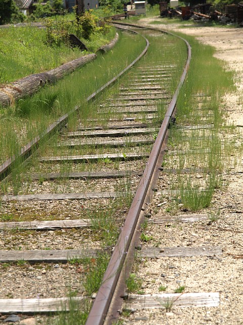 草生した線路