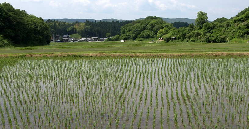 岩村の田園地帯