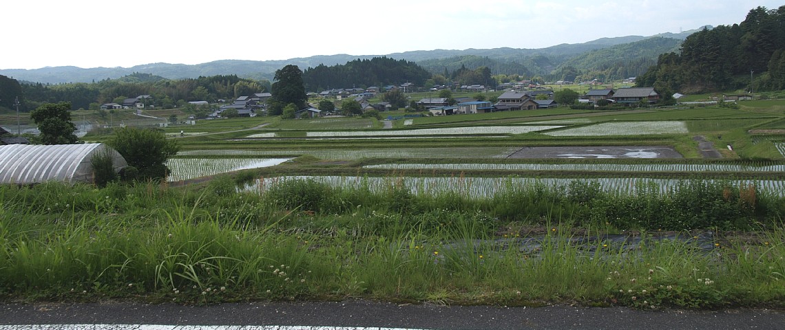 田沢の田園